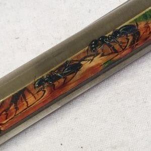 Floaty Souvenir Pen "Ants" Collectable Tourist Vintage Animated Ball-Point