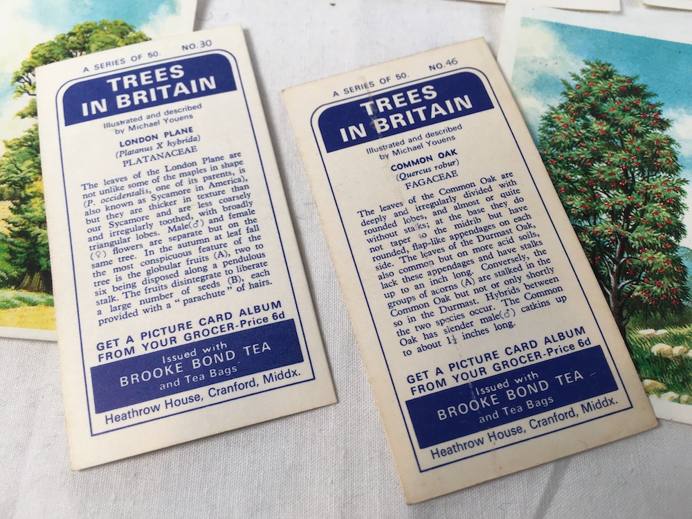 BROOKE BOND TEA CARDS in ALBUM British Costume 1967 Complete Set Excellent 